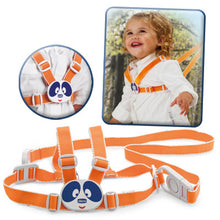 Load image into Gallery viewer, Chicco Safety Harness
