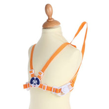 Load image into Gallery viewer, Chicco Safety Harness
