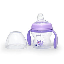 Load image into Gallery viewer, Chicco Natural Feeling Transition Bottle 4m - 6m 150ml, Girl
