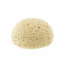 Load image into Gallery viewer, Chicco Safe Hygiene Extra Absorbent Sponge
